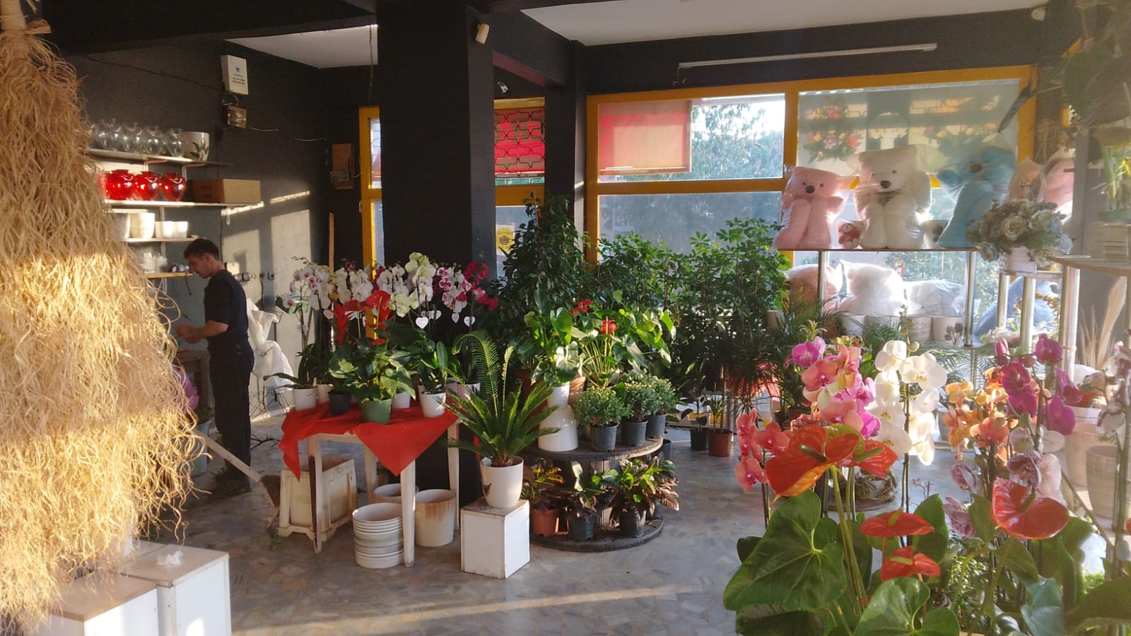 Osman Yılmaz Mahallesi için çiçek siparişi vermenin en kolay yolu Beyaz Orkide Çiçek! Gebze Osman Yılmaz Mahallesine online çiçek göndermek için tıklayabilirsiniz!